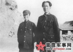 ë������������:��ֻ�������������